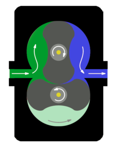 Diagramm des Prinzips einer Roots-Vakuumpumpe (Wälzkolbenpumpe) – Darstellung der Gasströmung und Rotorbewegung